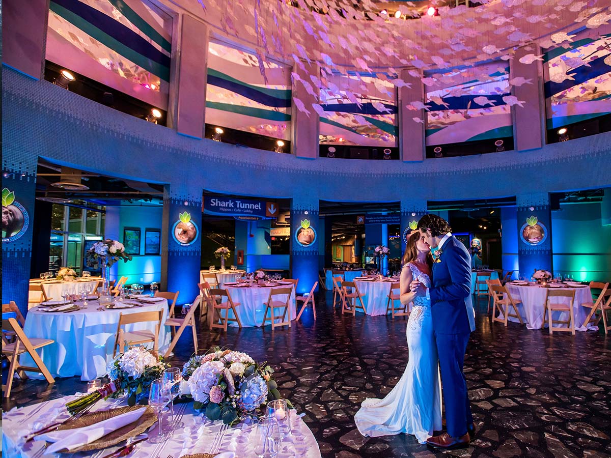 Adventure Aquarium Wedding with Lighting